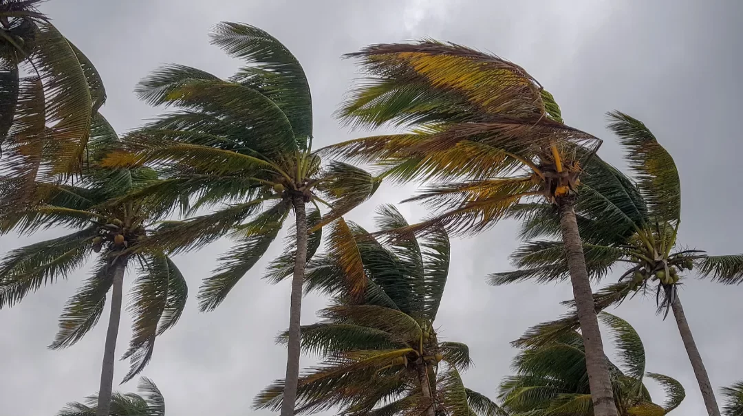 alerta de vendaval para estados do Nordeste