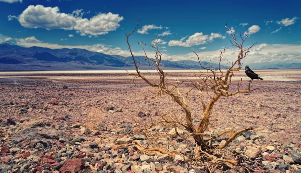 Impactos Das Mudanças Climáticas