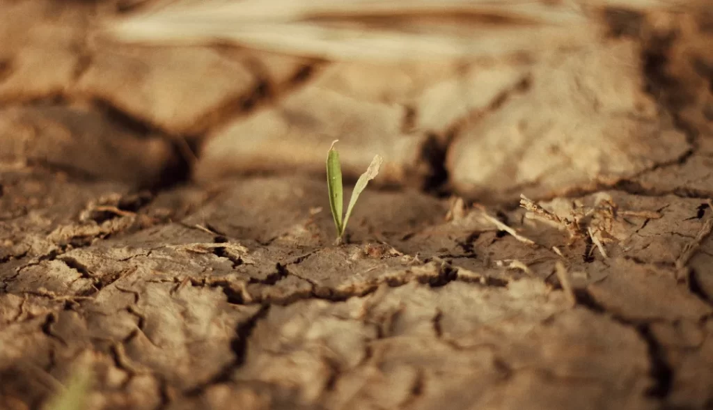 impactos das mudanças climáticas