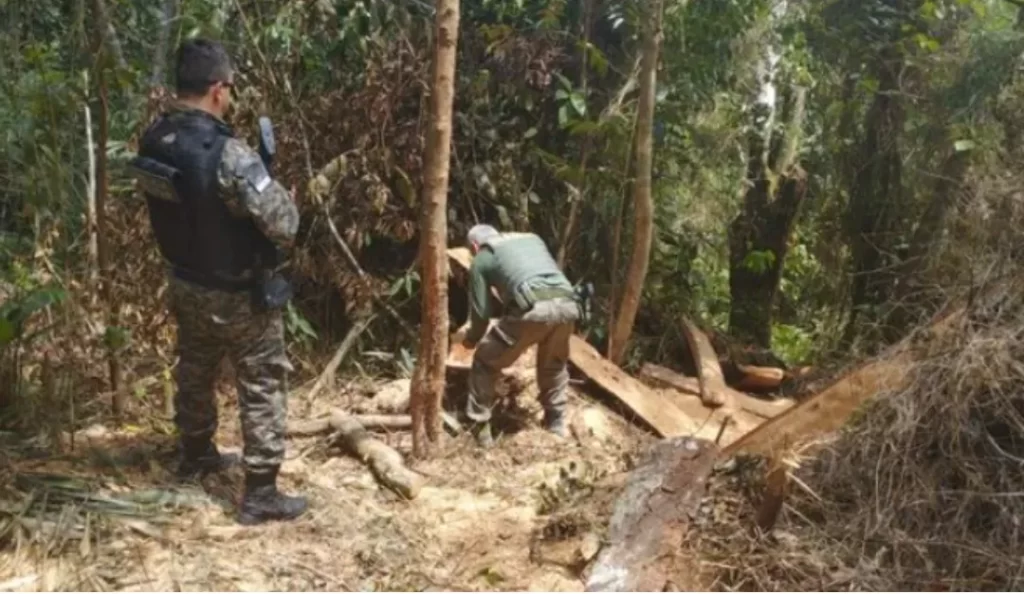 Megaoperação Mata Atlântica