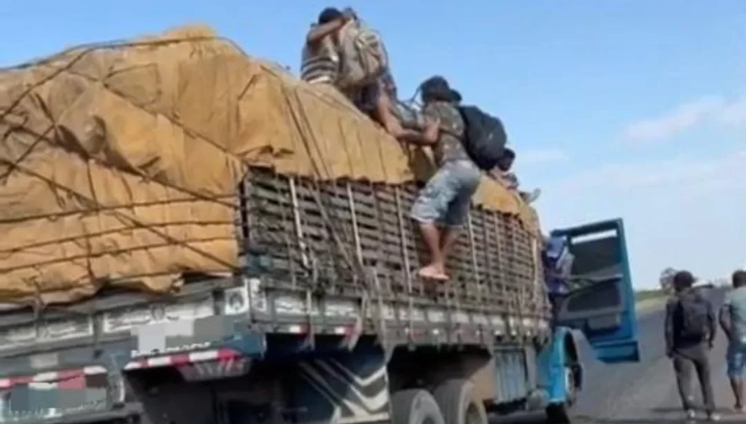 trabalhadores em carroceria de caminhão